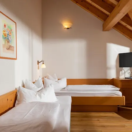 Alpenhotel Erika 4* Ισγκλ