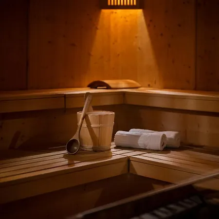 酒店 埃里卡阿尔葐酒店 伊施格尔