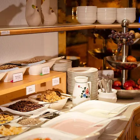 埃里卡阿尔葐酒店 酒店 伊施格尔