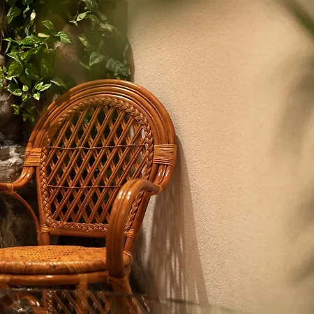 埃里卡阿尔葐酒店 伊施格尔